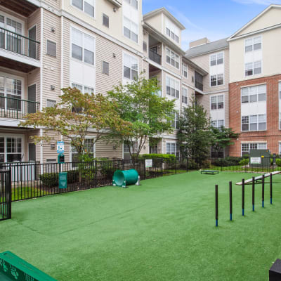 Dog park for residents to take their dogs to get all their energy out in at Sofi Lyndhurst in Lyndhurst, New Jersey