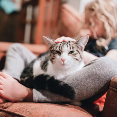 a young girl with their cat at Glenn Forest in Lexington Park, Maryland