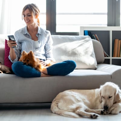 woman with her dogs on the couch at Santa Rosa in Point Mugu, California