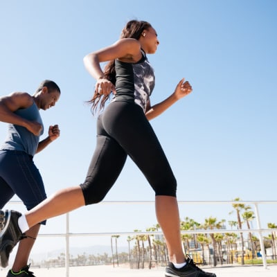 a pair running at Santa Rosa in Point Mugu, California