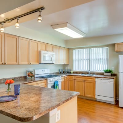 A bright and sunny kitchen at Bellevue in Washington, District of Columbia