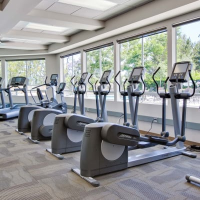 Expansive fitness center with plenty of machines at Sofi Ocean Hills in Oceanside, California
