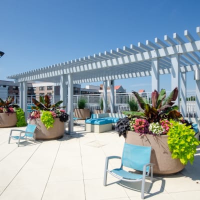 Lounge area next to the pool with lots of chairs to relax in at Sofi 55 Hundred in Arlington, Virginia