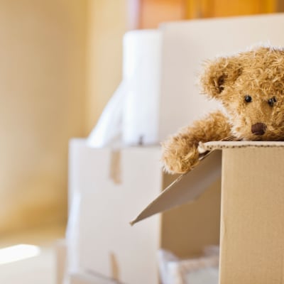 a teddy bear being unpacked from a box at Port Lyautey in Virginia Beach, Virginia