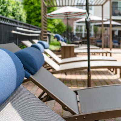 Beautiful landscaping around community pool at Sofi Parc Grove in Stamford, Connecticut