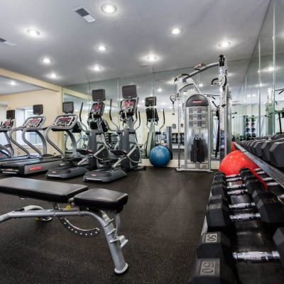 Fitness center with weights, strength training equipment, and various cardio exercise machines at Haven at Golf Creek in Portland, Oregon