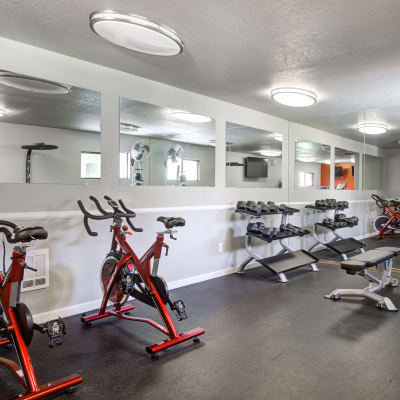 Fitness center at Terra Apartment Homes in Federal Way, Washington