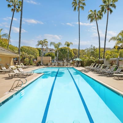 Luxurious pool on a beautiful day at Allina La Jolla in San Diego, California