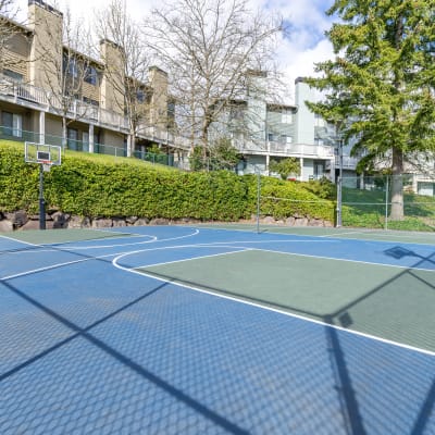 Community outdoor basketball court on a beautiful day at The Knoll Redmond in Redmond, Washington