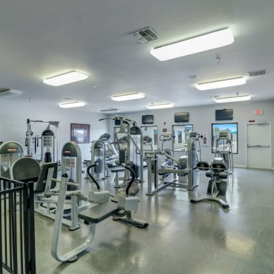 Exercise equipment at Wire Mountain III in Oceanside, California