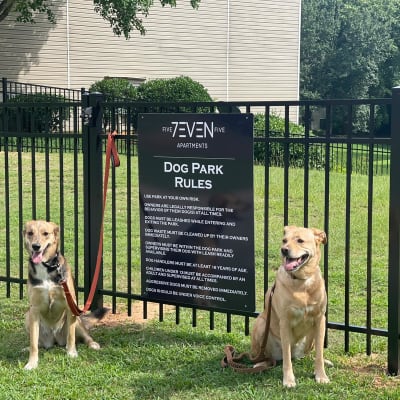 Two dogs sitting beside the bark park rules at Five7Five in Austell, Georgia
