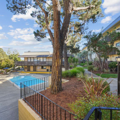 Beautifully landscaped pathway at The Ralston at Belmont Hills, Belmont, California