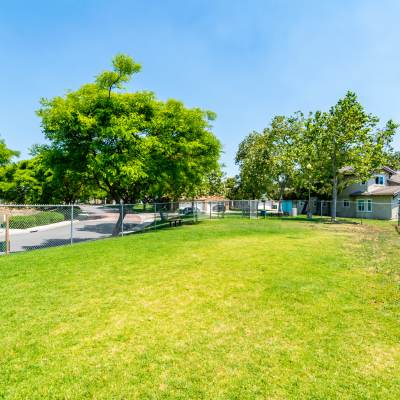 dog park at San Onofre I in San Clemente, California