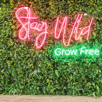 neon sign saying stay wild grow free in fluorescent pink and green lettering
