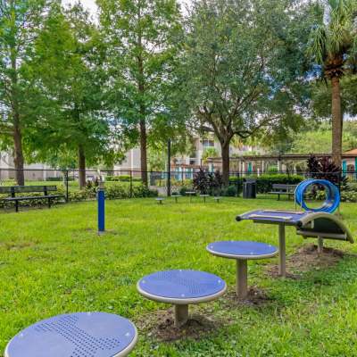 Dog playground with grassy field at The Legends At ChampionsGate in ChampionsGate, Florida