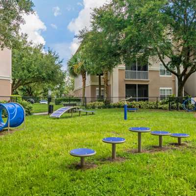 Dog playground with grassy field at The Legends At ChampionsGate in ChampionsGate, Florida