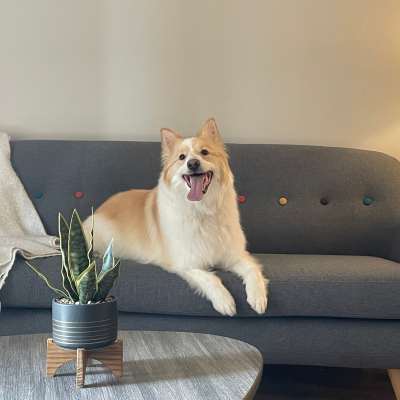 Resident lacing up his running shoes for a run on the track near Catalina Shores in Muskegon, Michigan