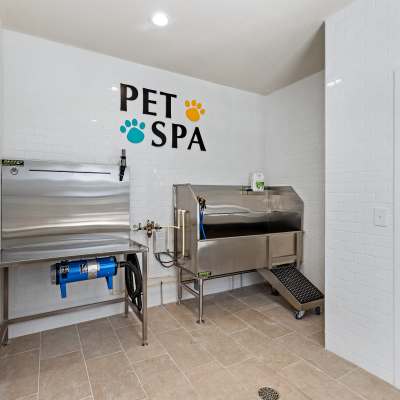 pet Spa