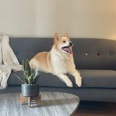 Custom chandelier in a luxury home's entryway at Victoria Pointe Apartments in Jackson, Michigan