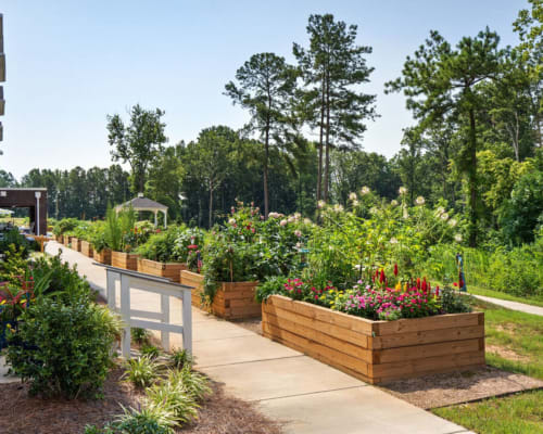 Raised garden beds at Loftin I in Belmont, North Carolina