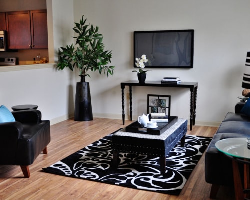 Model living space with dark accents at The Residences at Renaissance in Charlotte, North Carolina