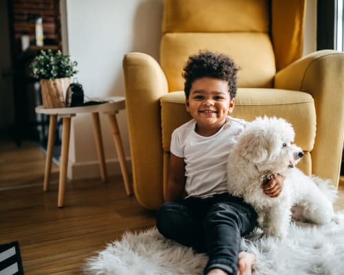 Resident child with dog in living room at Avion Point Apartments in Charlotte, North Carolina
