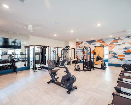 Alleia Gym Olympus Property REIT, LLC in Fort Worth, Texas