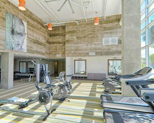 Angelene Gym Olympus Property REIT, LLC in Fort Worth, Texas