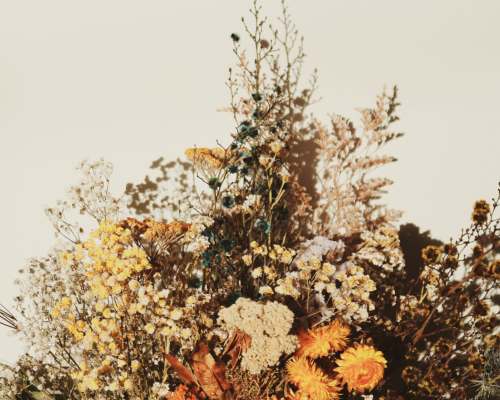 Flower Bar