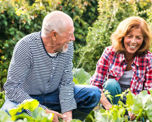 Garden Club