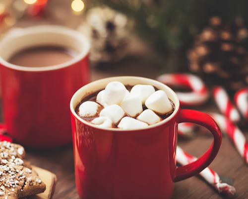 Hot Cocoa Bar