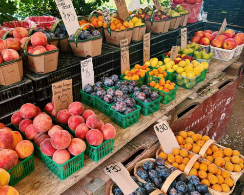 Pop Up Farmers Market