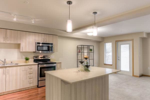 Spacious apartments in Renton