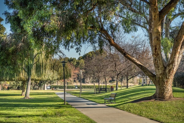 Santa Clara apartments for rent