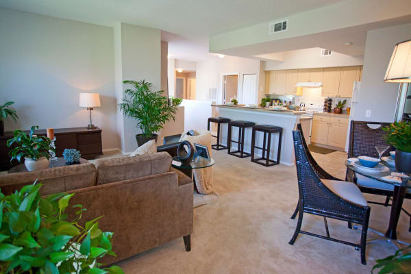 Living room at Legends Lake Mary in Lake Mary, Florida