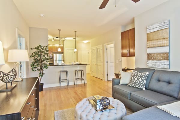 Northeast Atlanta Ga Apartments For Rent Near Northlake