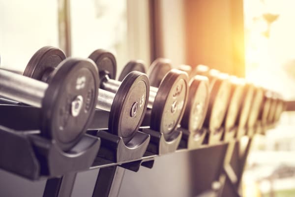 Fitness center at Steward's Crossing Apartment Homes in Lawrenceville, New Jersey