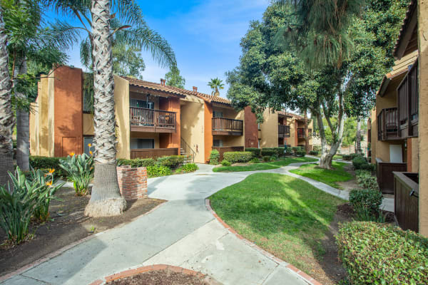 Walkway with Palm Tree and Lush Landscaping at Shadow Ridge Apartments in Oceanside