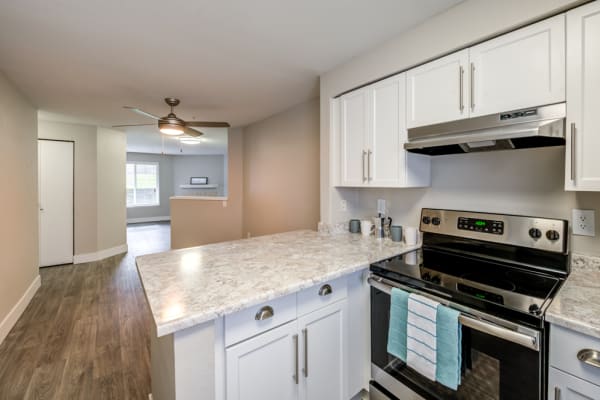 Upgraded kitchen at Village at Seeley Lake