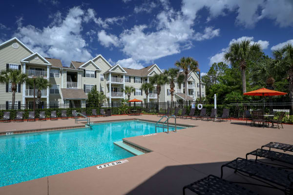 Apartments in New Port Richey, FL