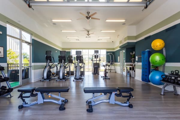 Fitness center at Springs at McDonough in McDonough