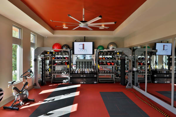Fully equipped fitness center at Luxor Club in Jacksonville, Florida