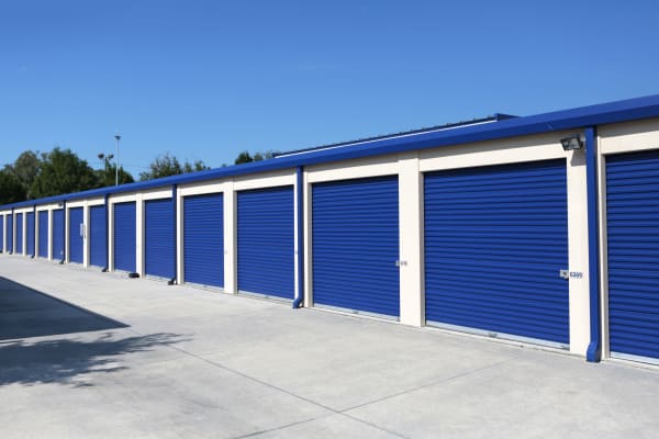 Storage units with purple doors at Midgard Self Storage in Lutz, Florida