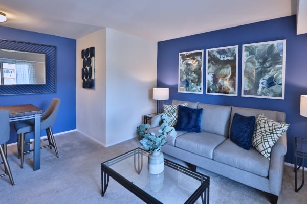 Take a virtual tour of a 3 bedroom, 1 bath floor plan at The Willows Apartment Homes in Glen Burnie, Maryland