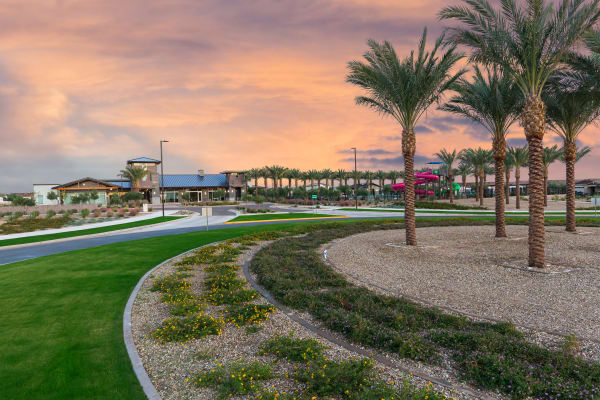 Master Plan Community Entry at Tavalo at Cadence in Mesa, Arizona