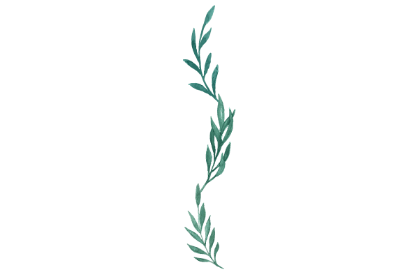 Plant divider graphic for Kirkwood Place in Clarksville, Tennessee