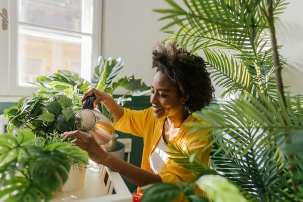 Resident watering her plants in her new apartment at Orchard Park in Edgewater Park, New Jersey