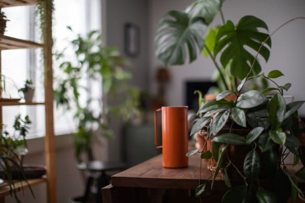 Resident watering her plants in her new apartment at Cheltenham Station in Philadelphia, Pennsylvania