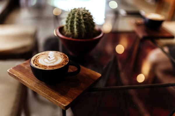 Artful latte on a wooden trivet presented with a cactus on a glass table at a café near Sterling Pointe Apartments in Davis, California