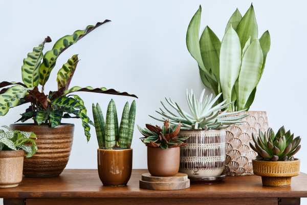 Virtual Tour at Hidden Creek in Vacaville, California